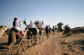 CameLuxe Camp